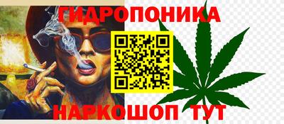 МДПВ Краснознаменск