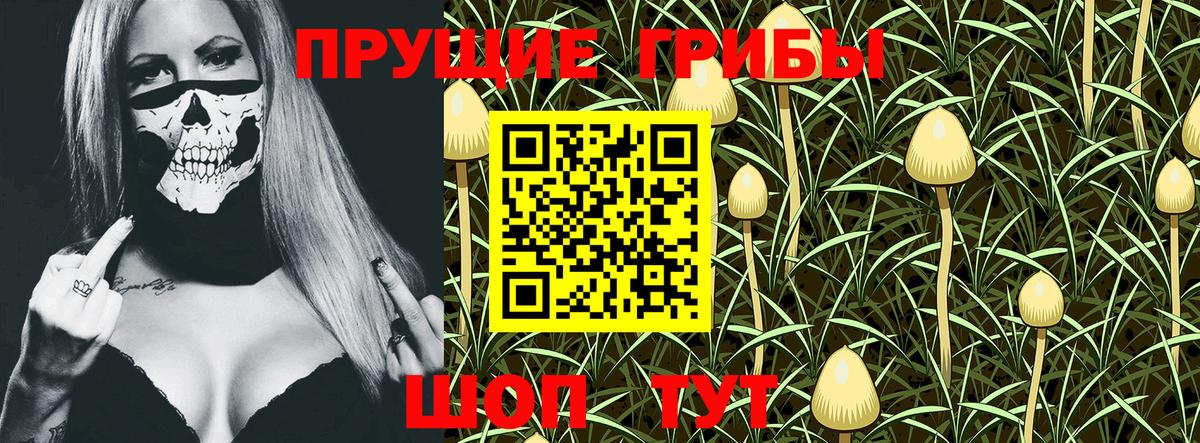 Галлюциногенные грибы MAGIC MUSHROOMS Когалым