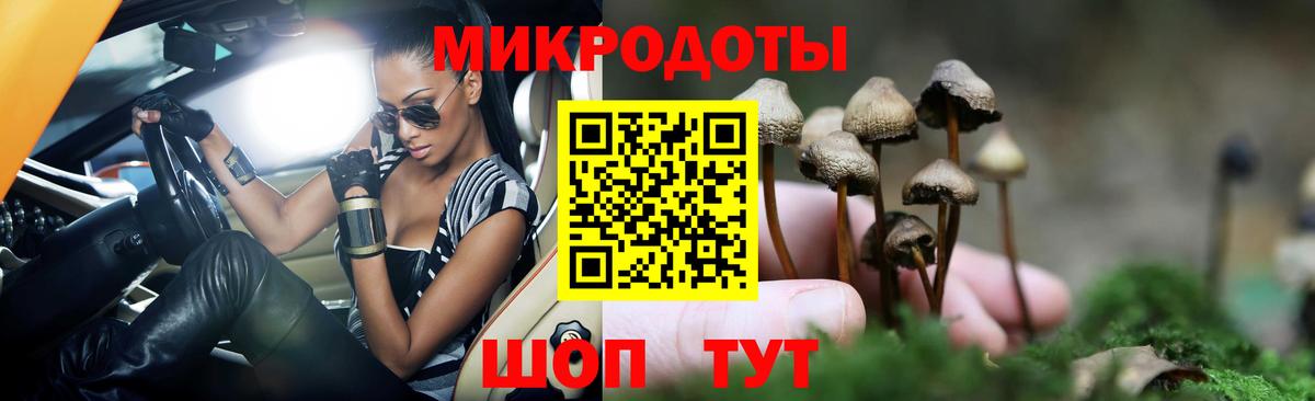 закладки  Псилоцибиновые грибы мицелий  Вход с VPN  Галлюциногенные грибы Psilocybine cubensis  Когалым 